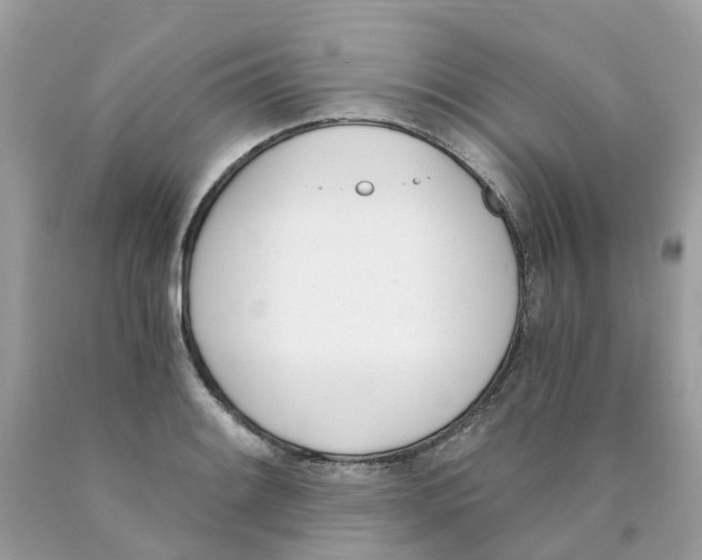 X0000089831084200707262019