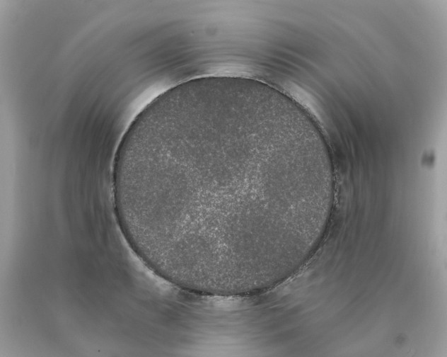 X0000089831087200707262019