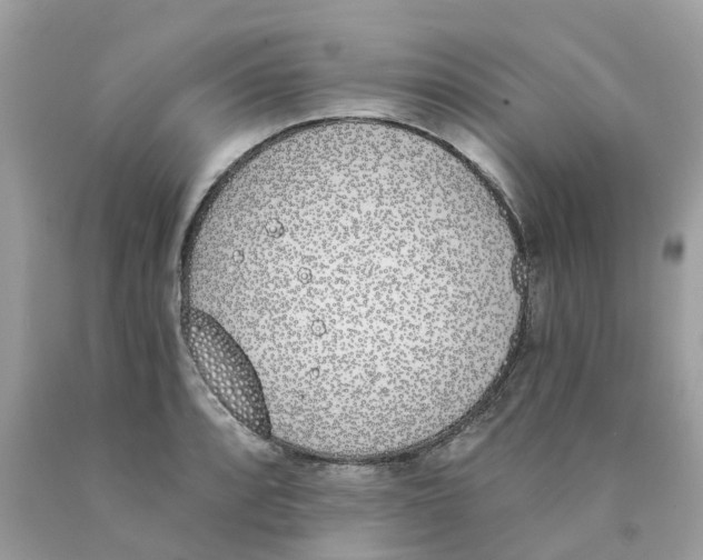 X0000089831088200707262019