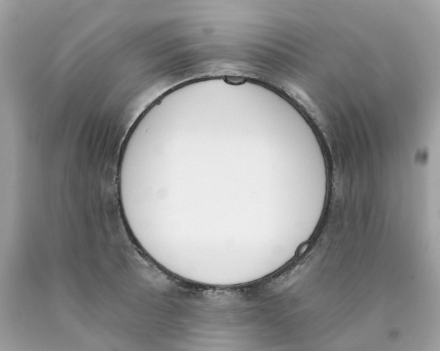 X0000089831089200707262019