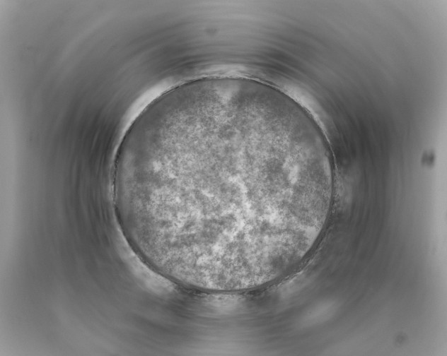 X0000089831090200707262019