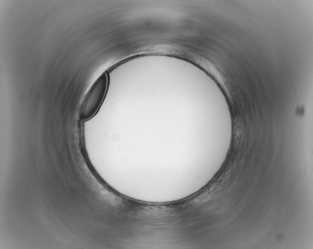 X0000089831091200707262019