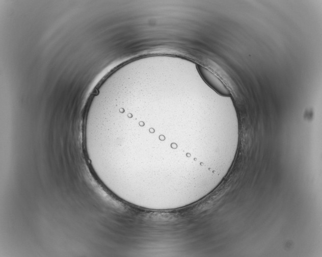 X0000089831092200707262019