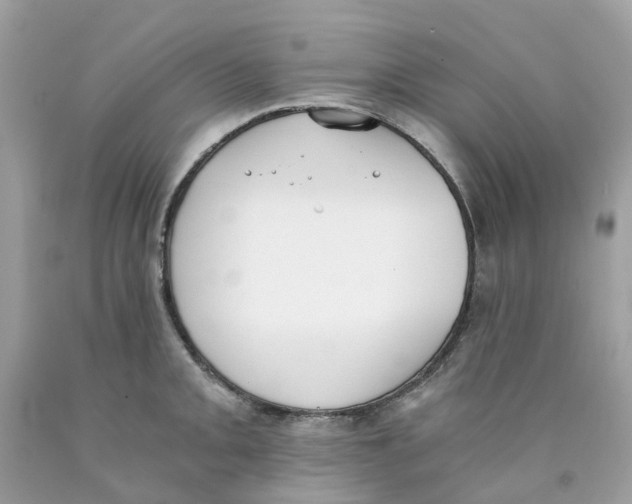 X0000089831093200707262019