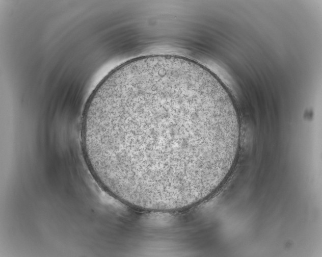 X0000089831094200707262019