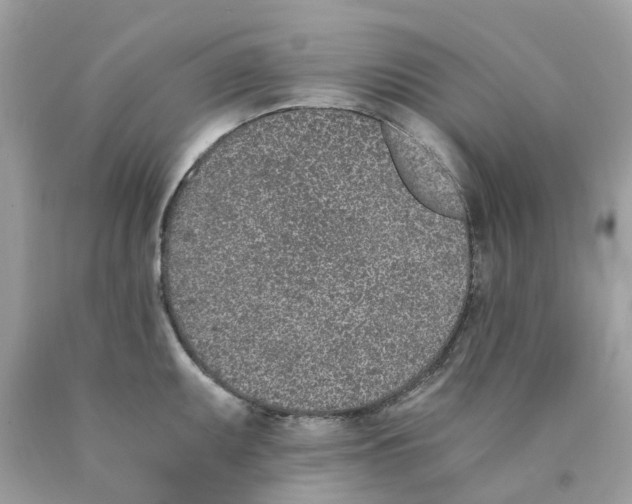 X0000089831095200707262019