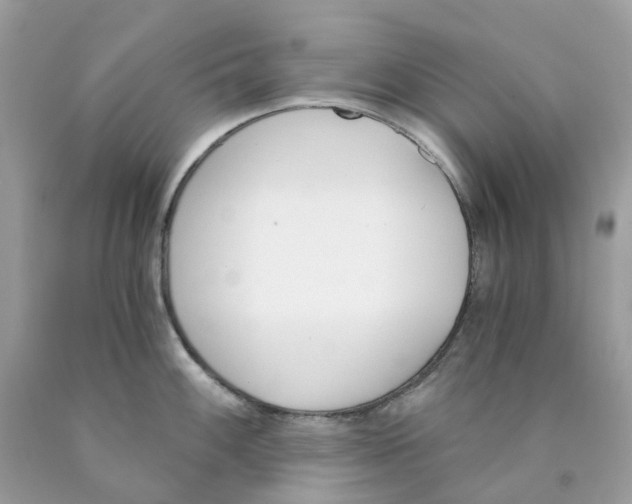 X0000089831100200707262019