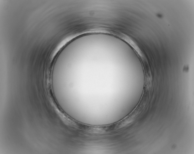 X0000089831101200707262019