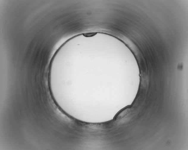 X0000089831102200707262019