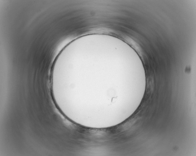 X0000089831103200707262019