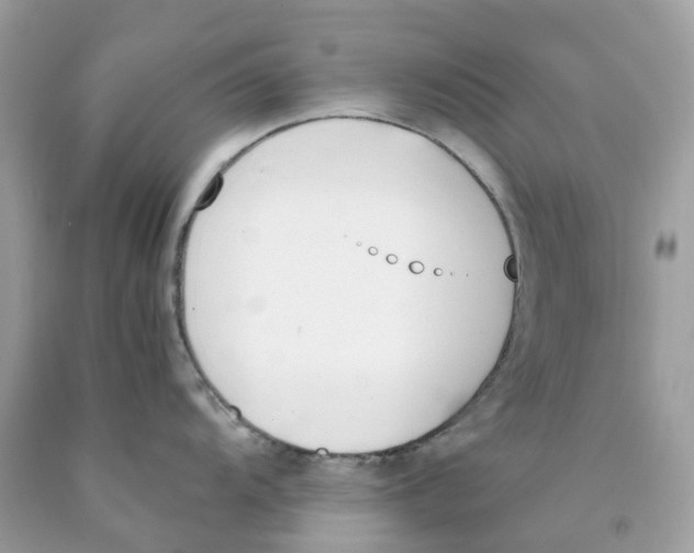 X0000089831104200707262019