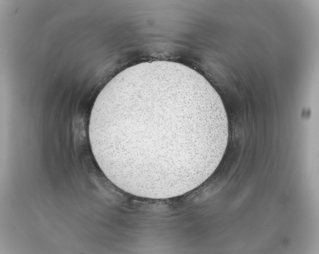 X0000089831106200707262018