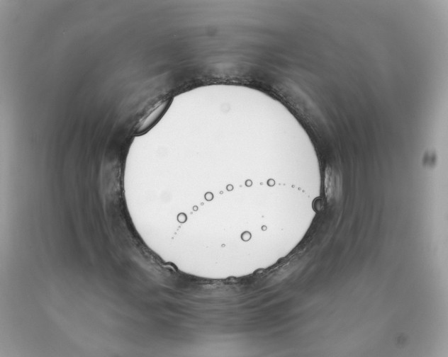 X0000089831107200707262018