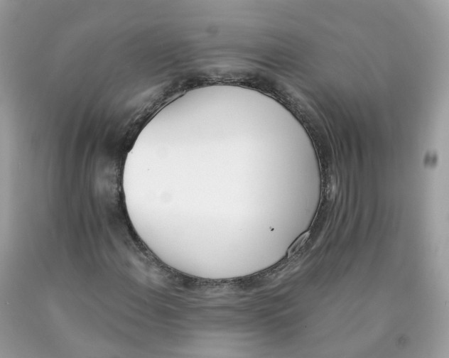 X0000089831108200707262018