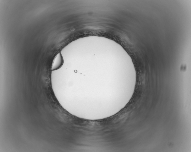 X0000089831109200707262018