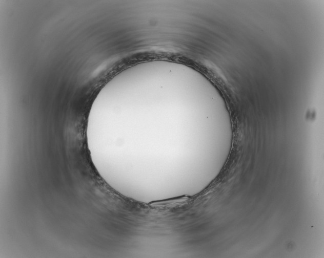 X0000089831110200707262018