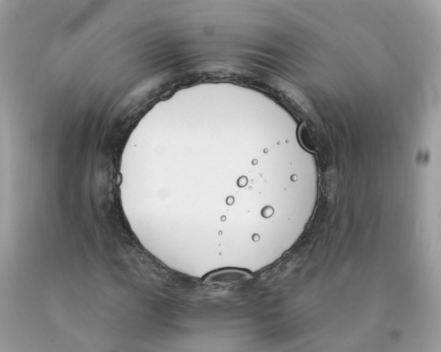 X0000089831111200707262018