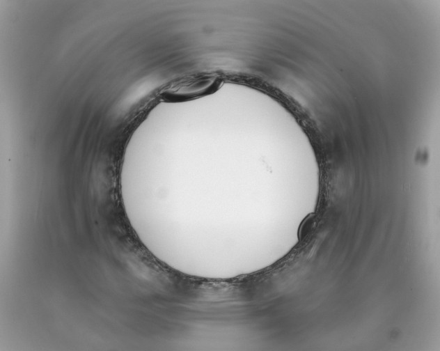 X0000089831112200707262018