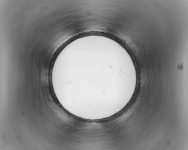 X0000089831113200707262018