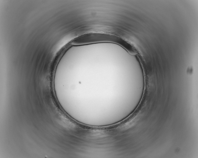 X0000089831114200707262018