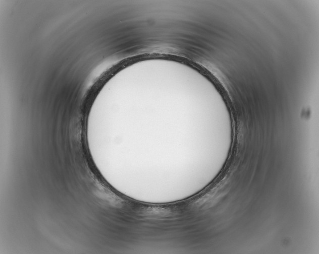 X0000089831115200707262018