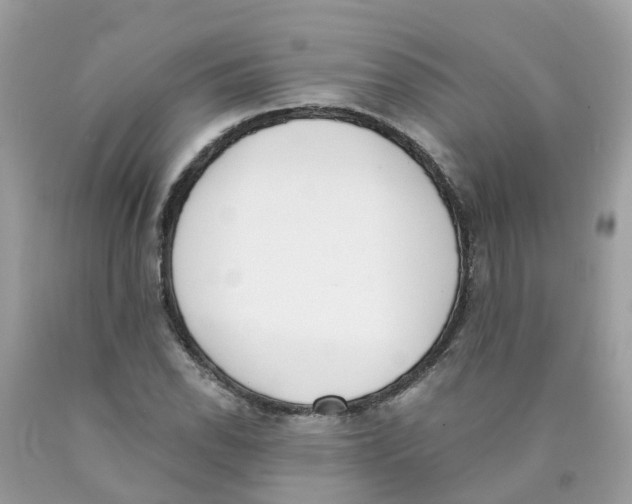 X0000089831118200707262018