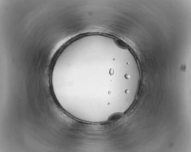 X0000089831120200707262018