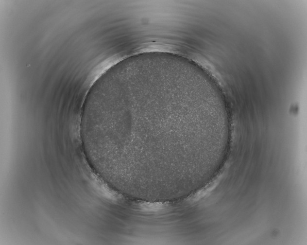 X0000089831121200707262018