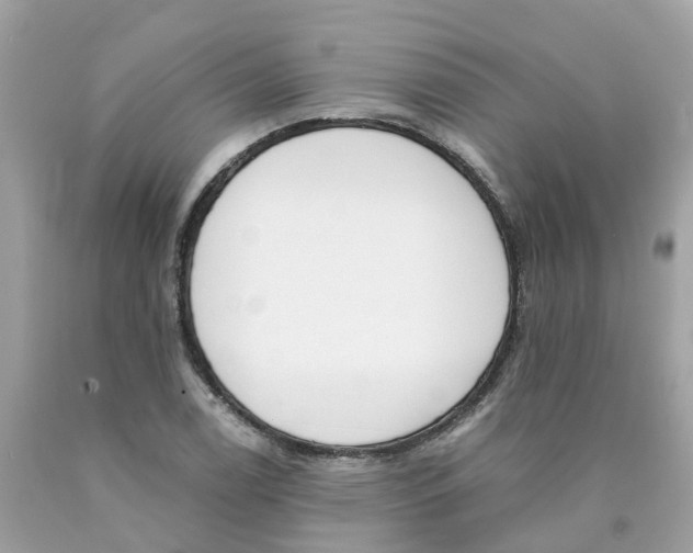 X0000089831122200707262018