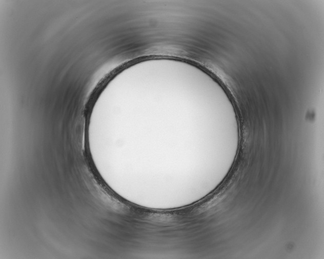 X0000089831123200707262018