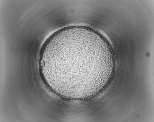 X0000089831124200707262018