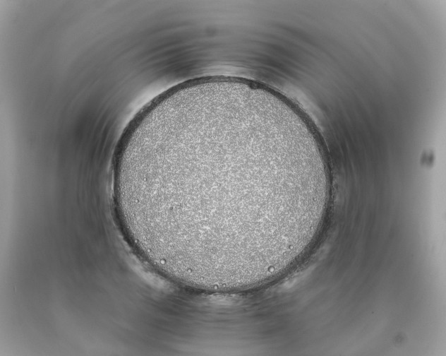 X0000089831125200707262018