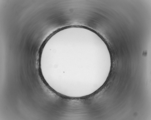 X0000089831126200707262018