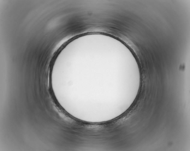 X0000089831127200707262018