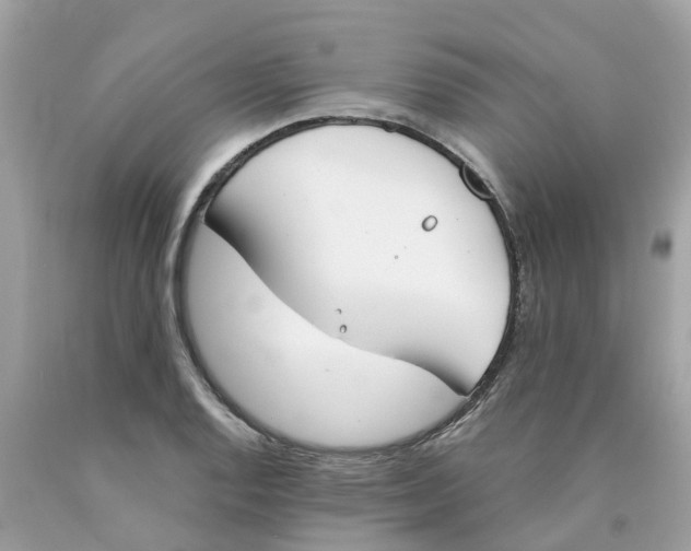 X0000089831128200707262018