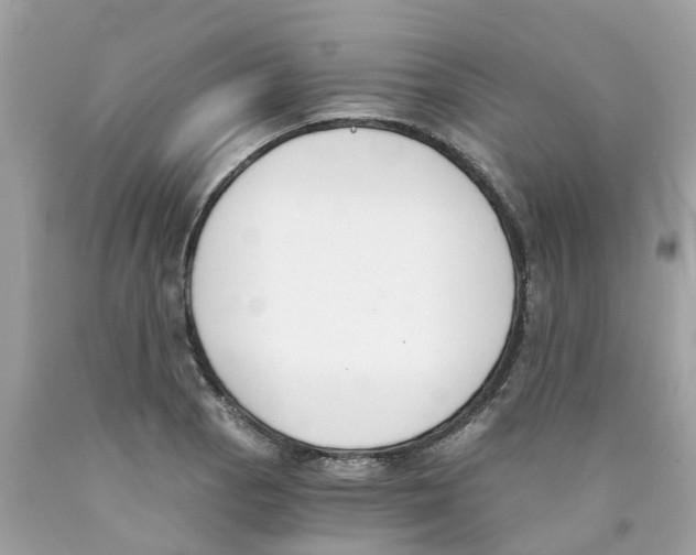 X0000089831129200707262018