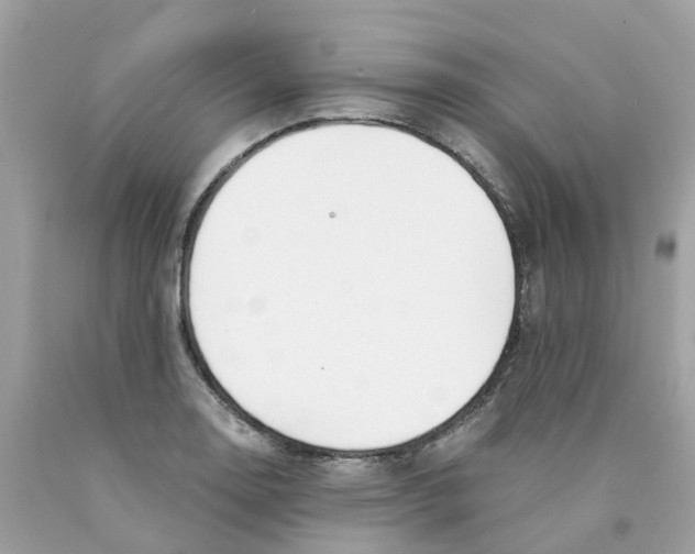 X0000089831130200707262018