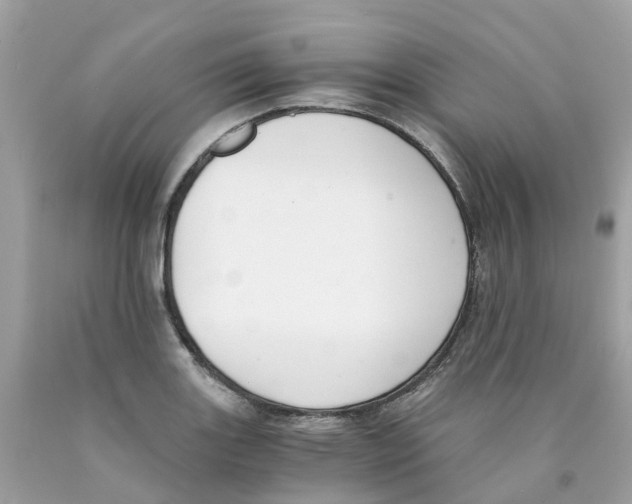 X0000089831131200707262018