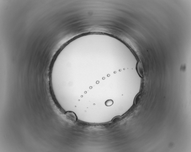 X0000089831133200707262018