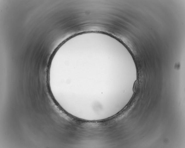 X0000089831134200707262018