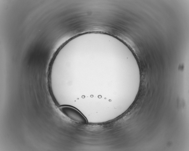 X0000089831135200707262018