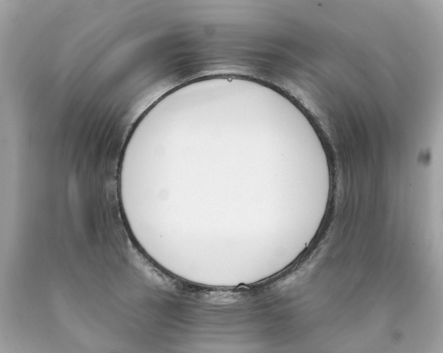 X0000089831137200707262018