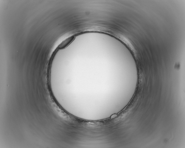 X0000089831138200707262018