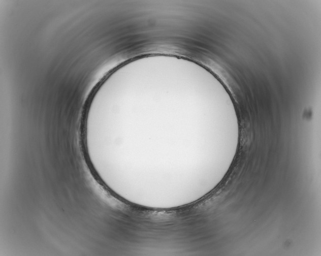 X0000089831139200707262018