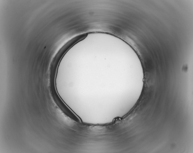 X0000089831140200707262018