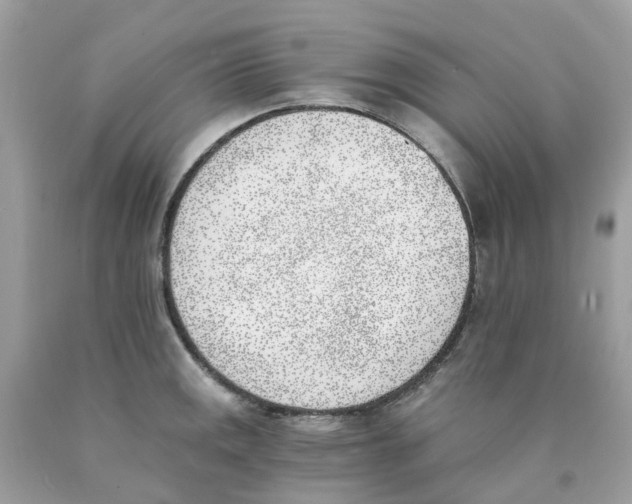X0000089831141200707262018