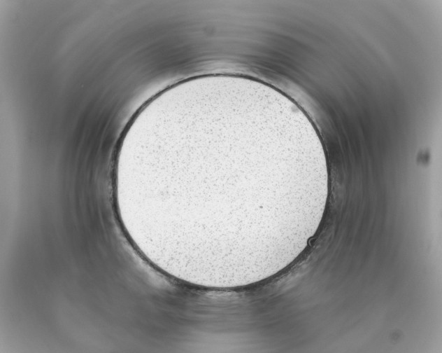 X0000089831142200707262018