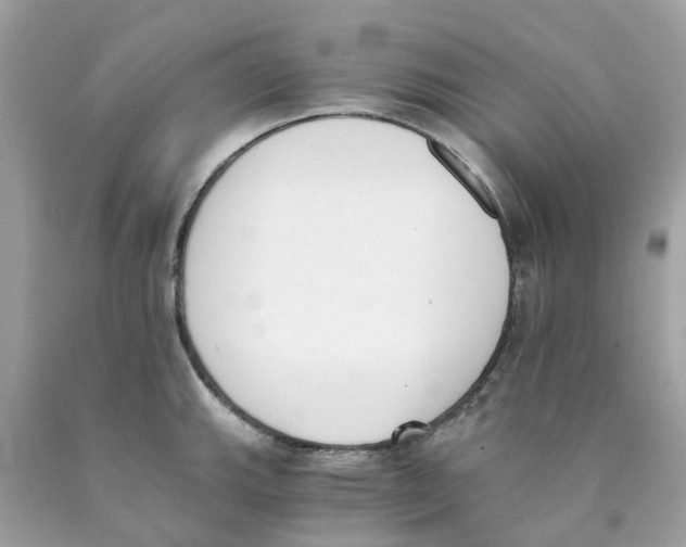 X0000089831143200707262018