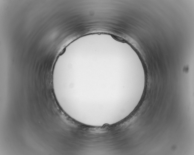 X0000089831145200707262018
