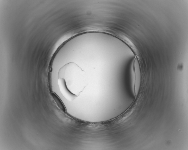X0000089831146200707262018